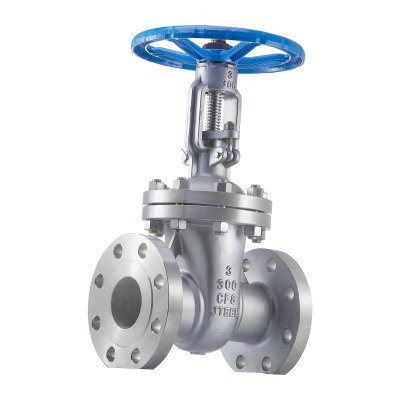 Stainless Steel 3 Inch Gate Valve