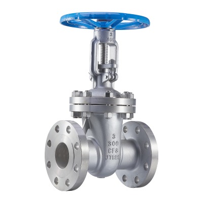 Stainless Steel 3 Inch Gate Valve