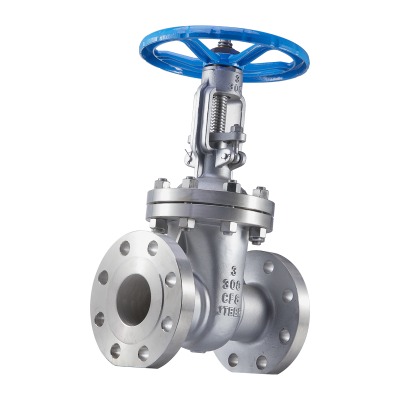 Stainless Steel 3 Inch Gate Valve