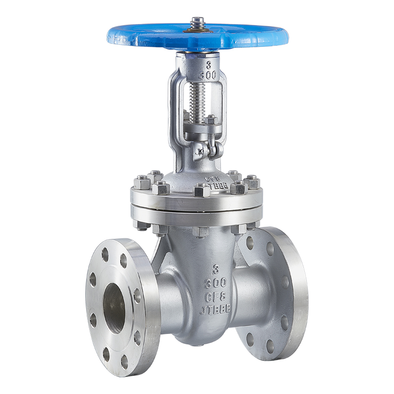 Stainless Steel 3 Inch Gate Valve