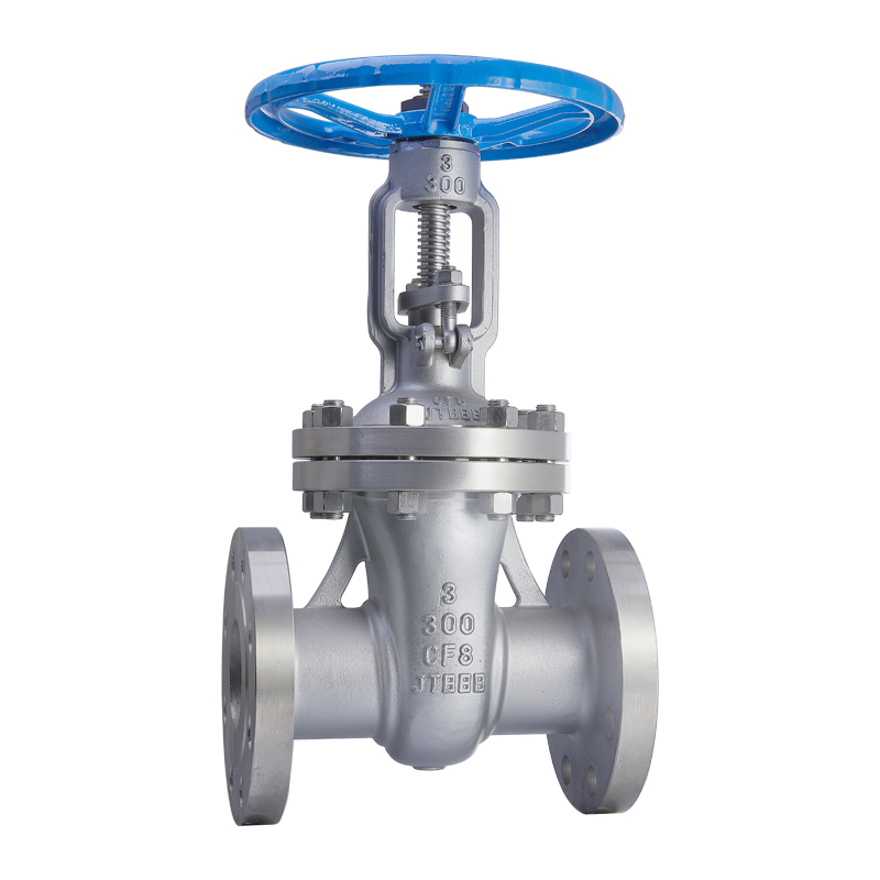 Stainless Steel 3 Inch Gate Valve